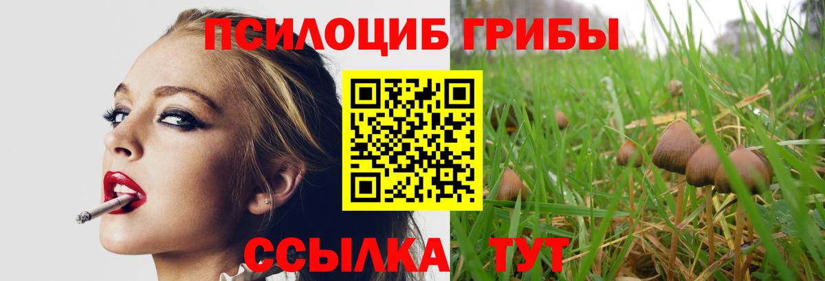 Верхний Уфалей  Псилоцибиновые грибы мухоморы  Вход с VPN  как найти закладки  Галлюциногенные грибы мицелий 